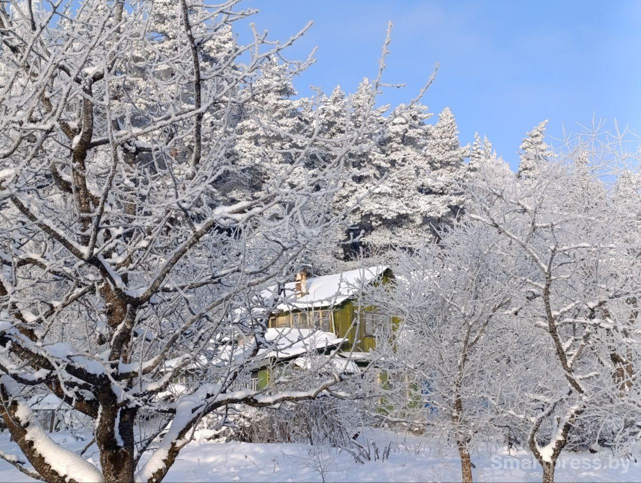 Зима мороз снег