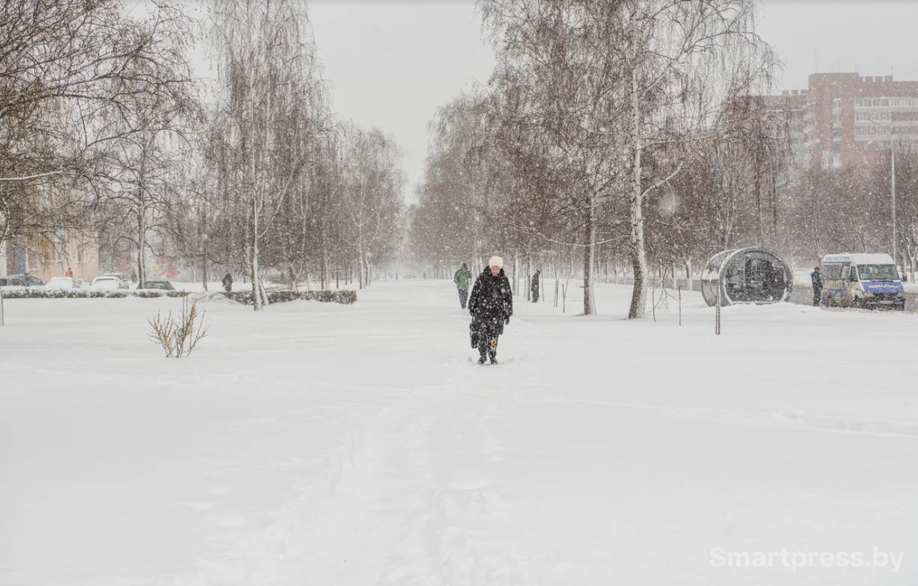 Апрель и снег.jpg