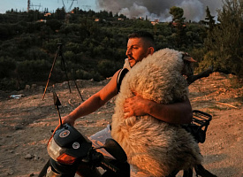 Машина времени для леса, татуированная тихоходка и городской ад: главные снимки года по версии журнала Nature