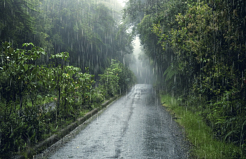 Беларусь накроют дожди и грозы, но на востоке потеплеет до +22°С