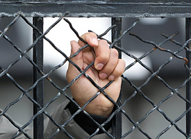 Лукашенко по просьбе Трампа помиловал 123 человека