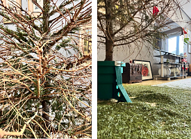 “Ёлка за 250 рублей простояла 3 дня” – Главред Smartpress.by купила дерево и осталась с голыми ветками