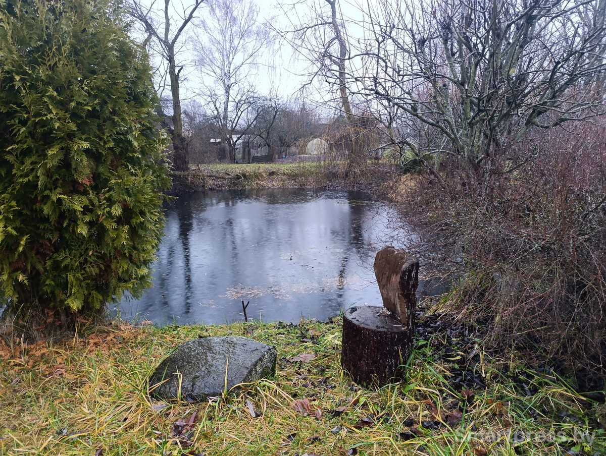 22-Пруд рядом с домом.jpg