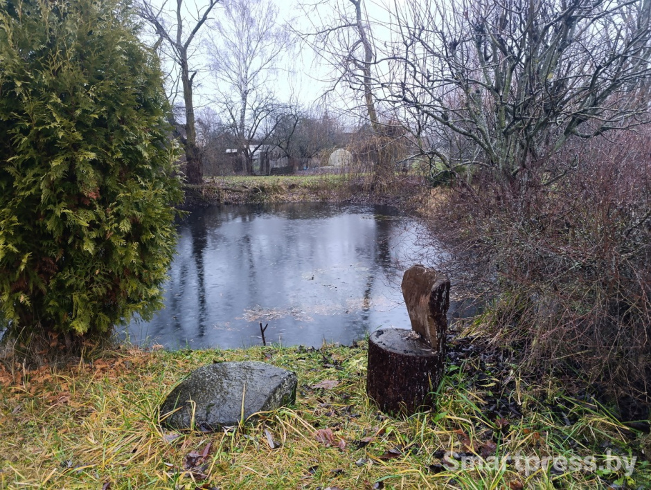 22-Пруд рядом с домом.jpg