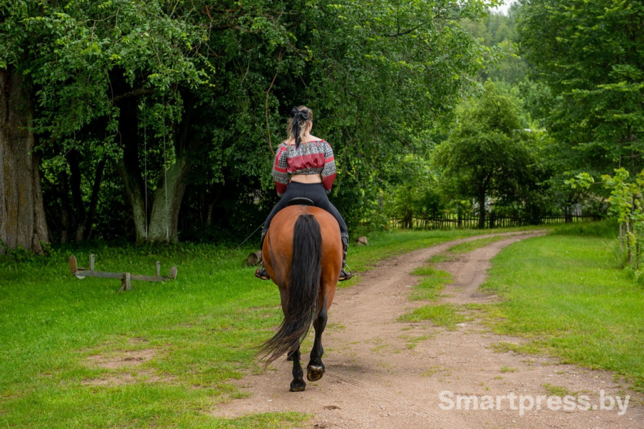 4-К дому Местовских ведет красивая аллея.jpg