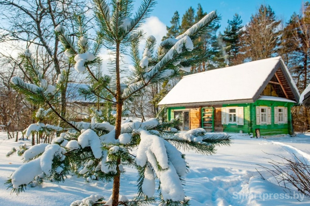 8-Деревенский домик Татьяны Синицыной.jpg