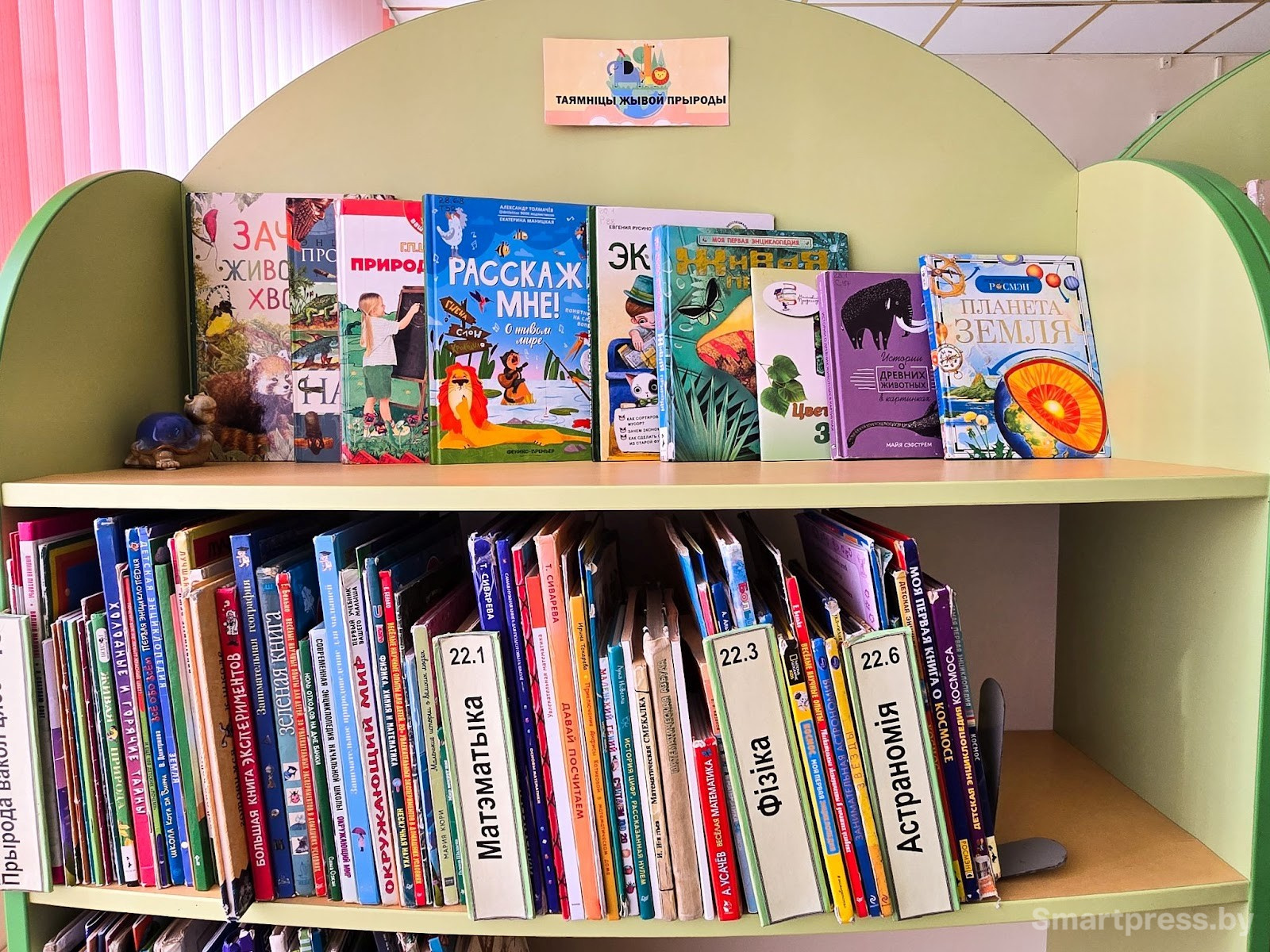 Книги в минской детской библиотеке 4 5.jpg