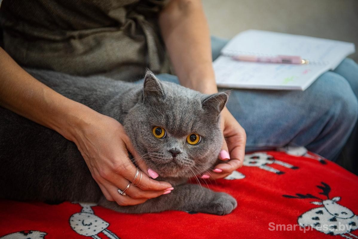 6-К Баксу нужно найти подход.jpg