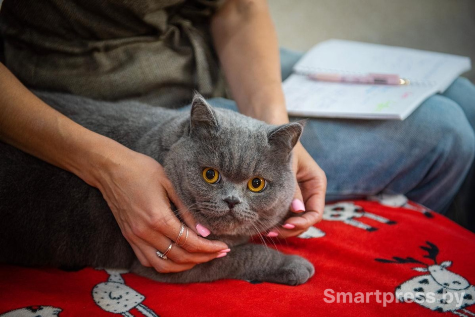 6-К Баксу нужно найти подход.jpg