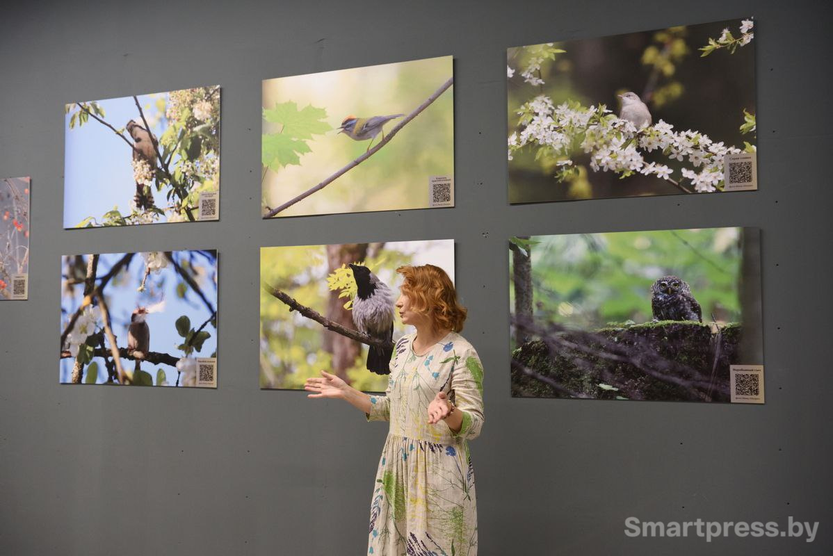 инна шкурко 