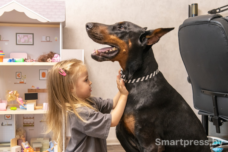 10-Эми надевает Рагнару бабочку.jpg