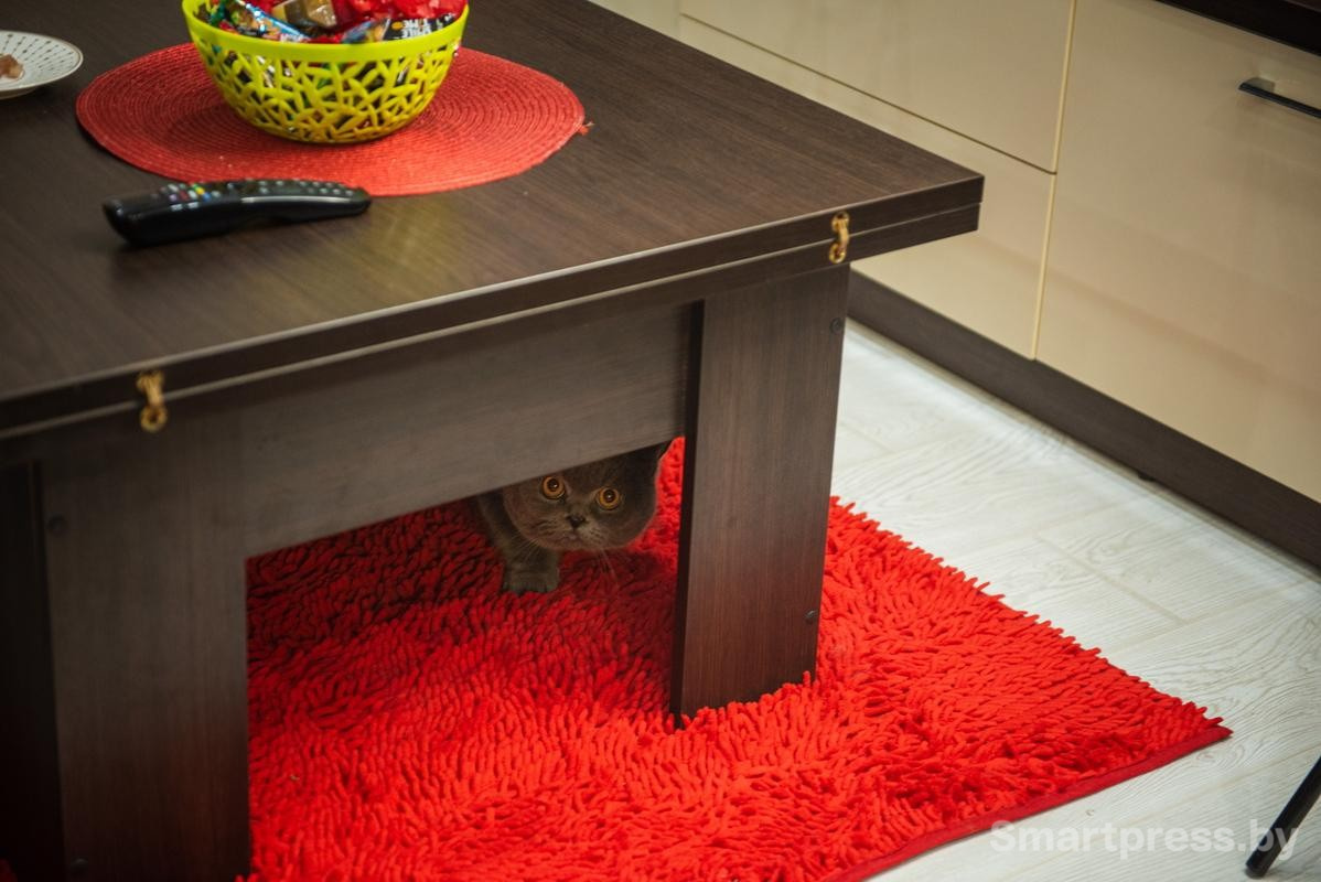 18-А вот Бакс в люди выходит не всегда.jpg