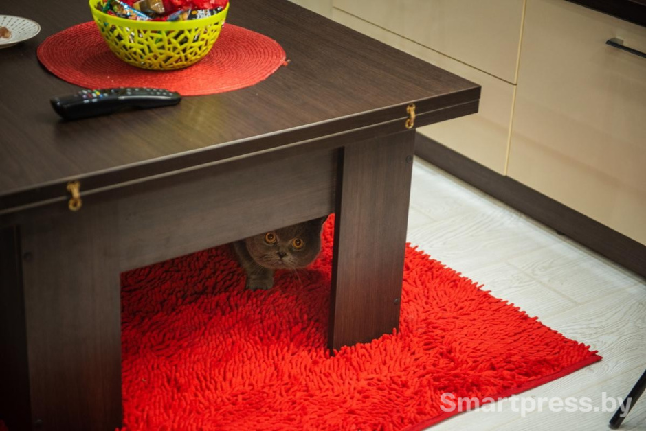 18-А вот Бакс в люди выходит не всегда.jpg