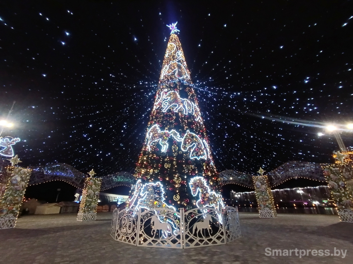 немига_новый_год_0007 (1)