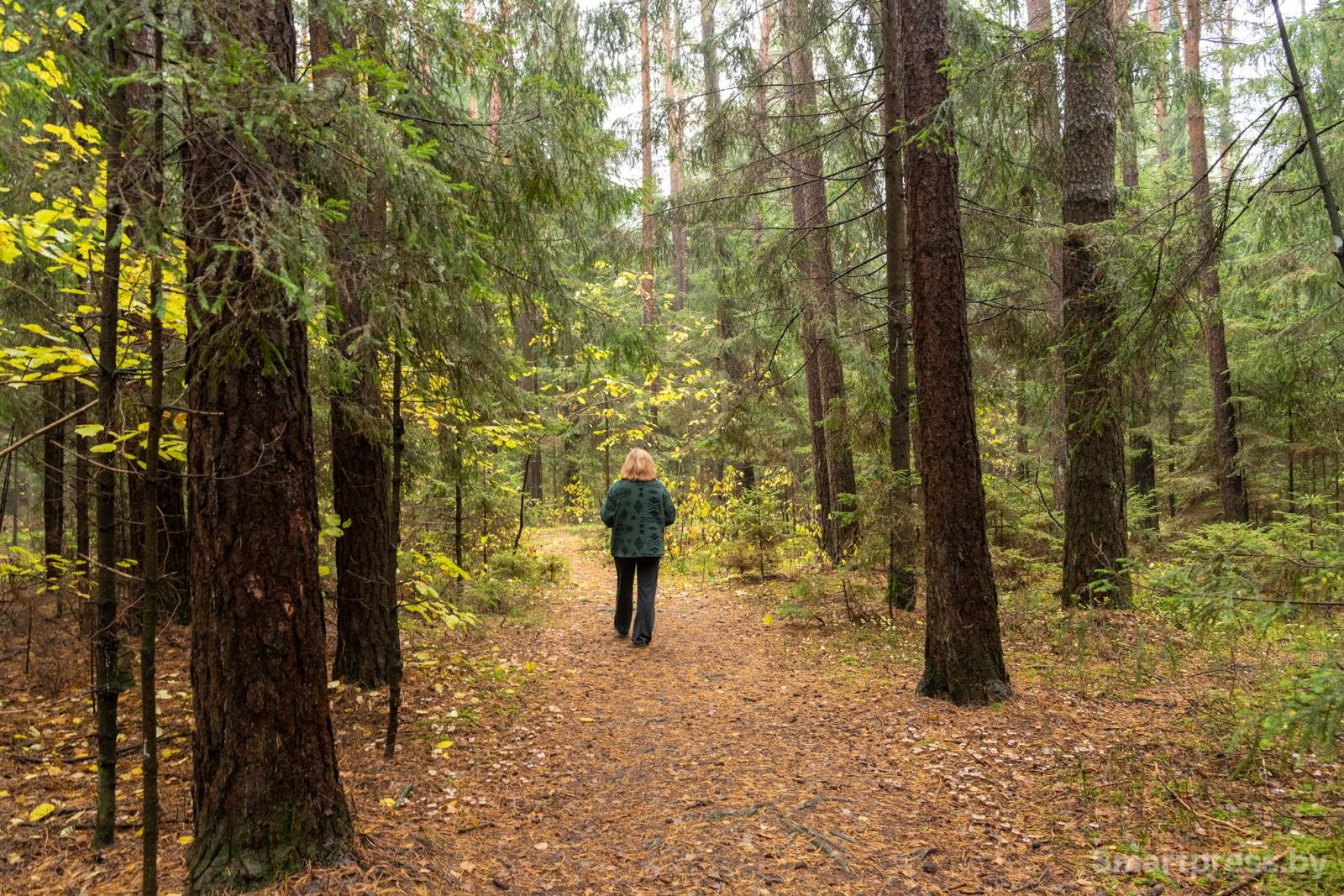 22-Лес помогает Ирине успокоиться и понять что она всё делает правильно.jpg