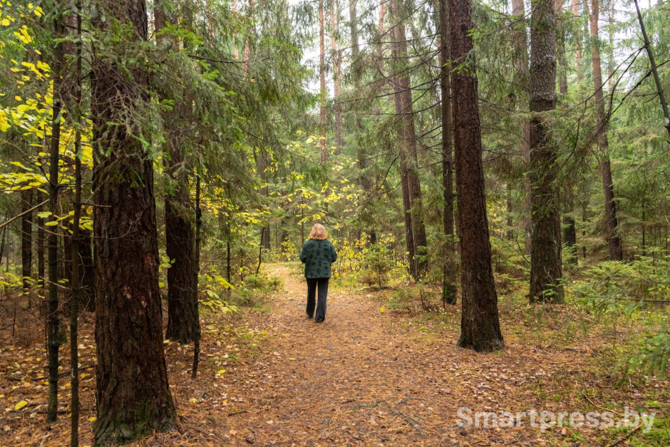 22-Лес помогает Ирине успокоиться и понять что она всё делает правильно.jpg