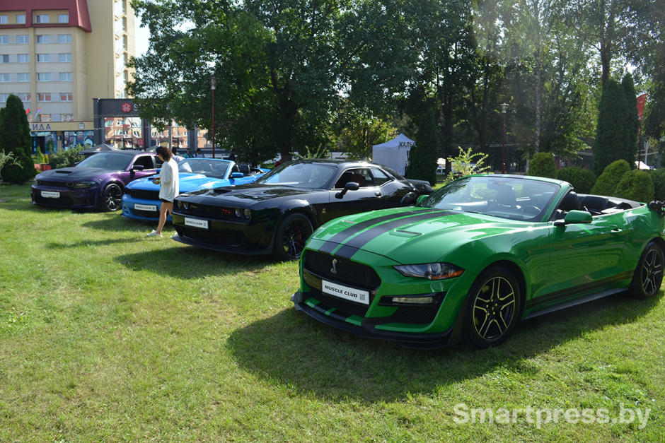 Тачки Winline Пикник