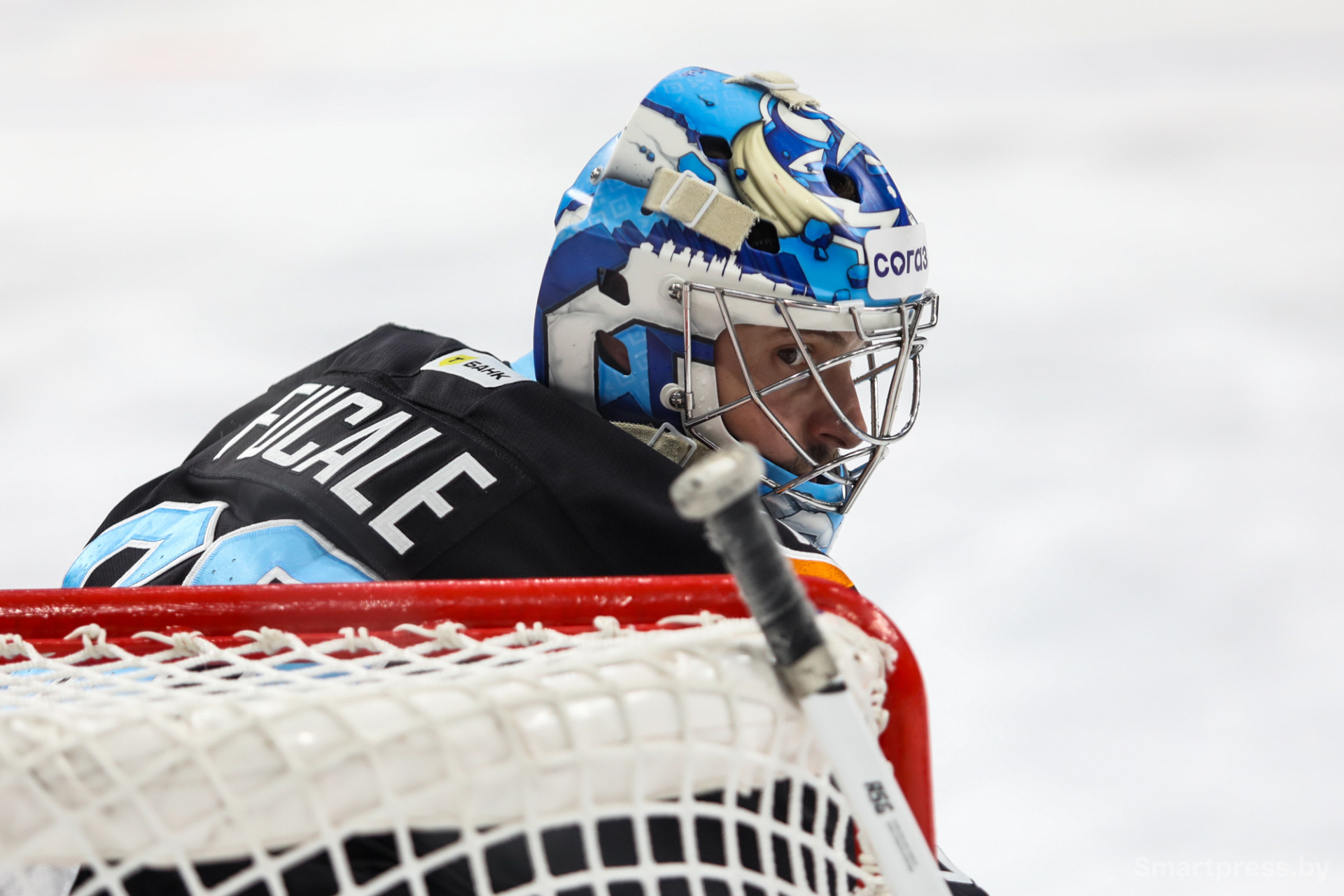 хоккей на Минск-Арене