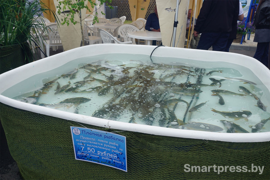 белагро рыбхоз.jpg