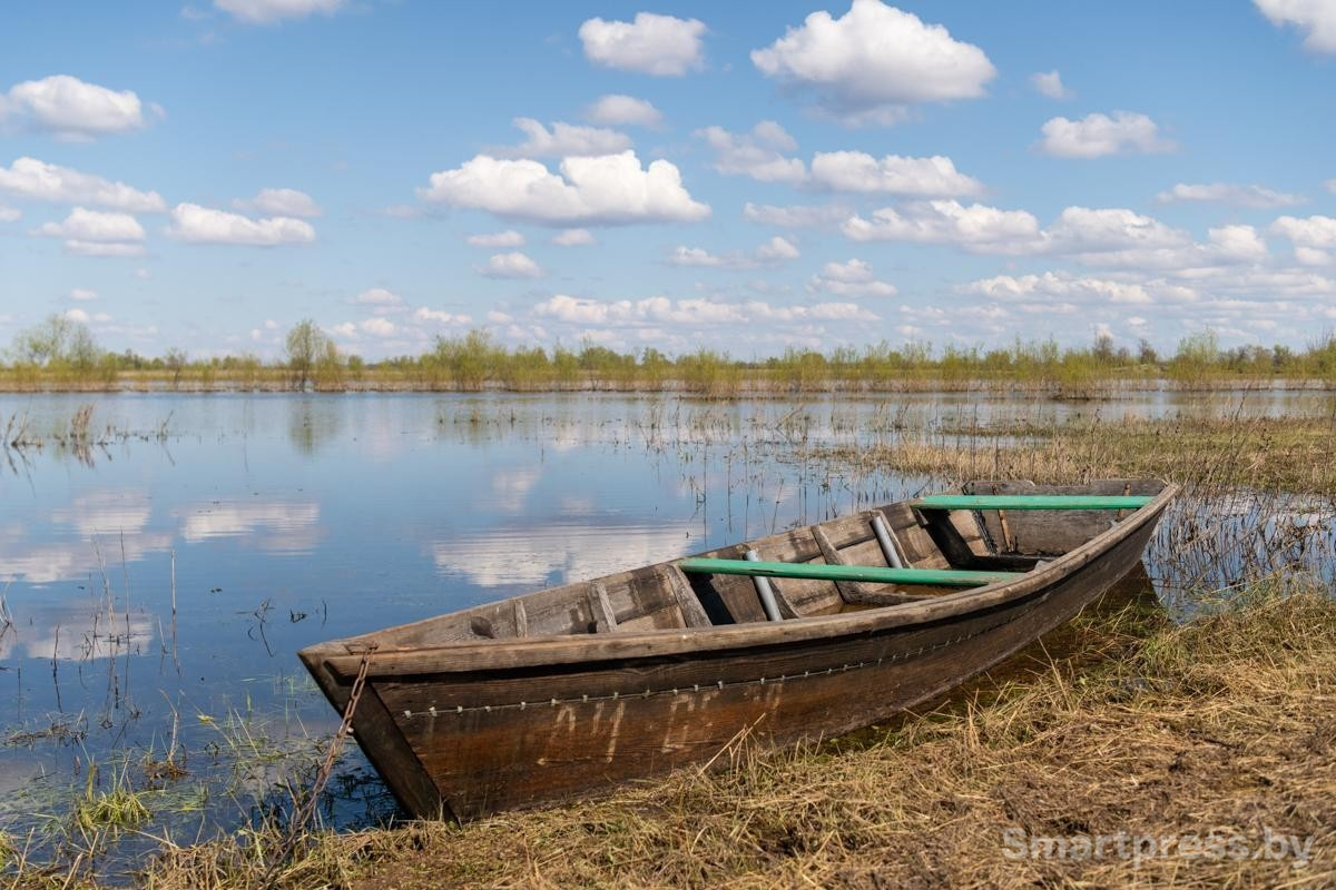 9-Туровский луг.jpg