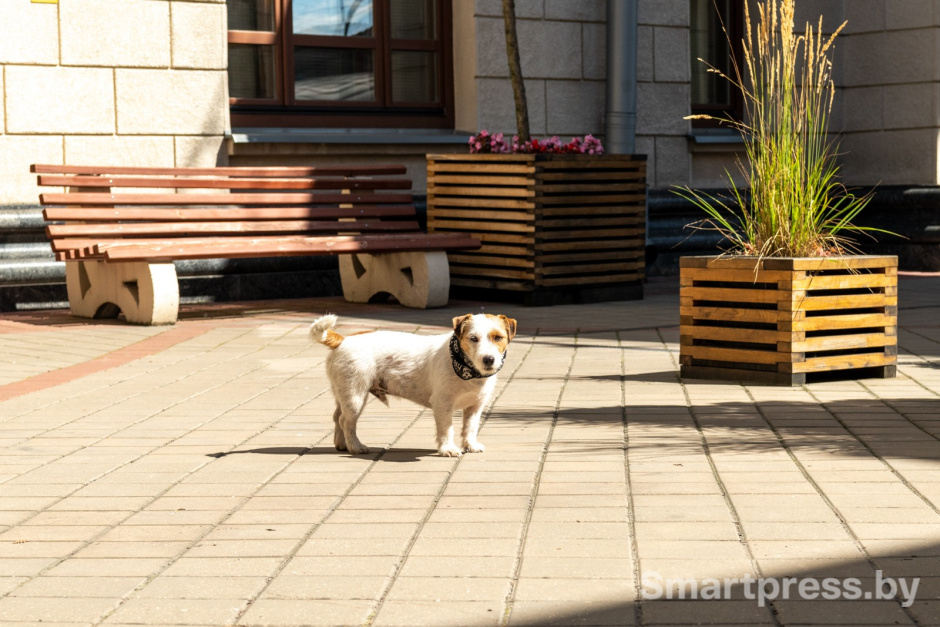 7-Джеки без байкерской амуниции.jpg