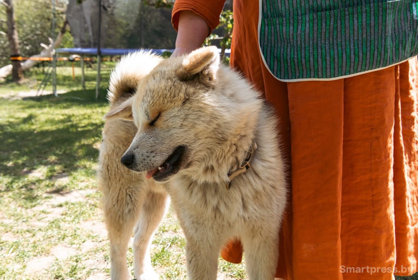 29-Дом семьи Остроух.jpg