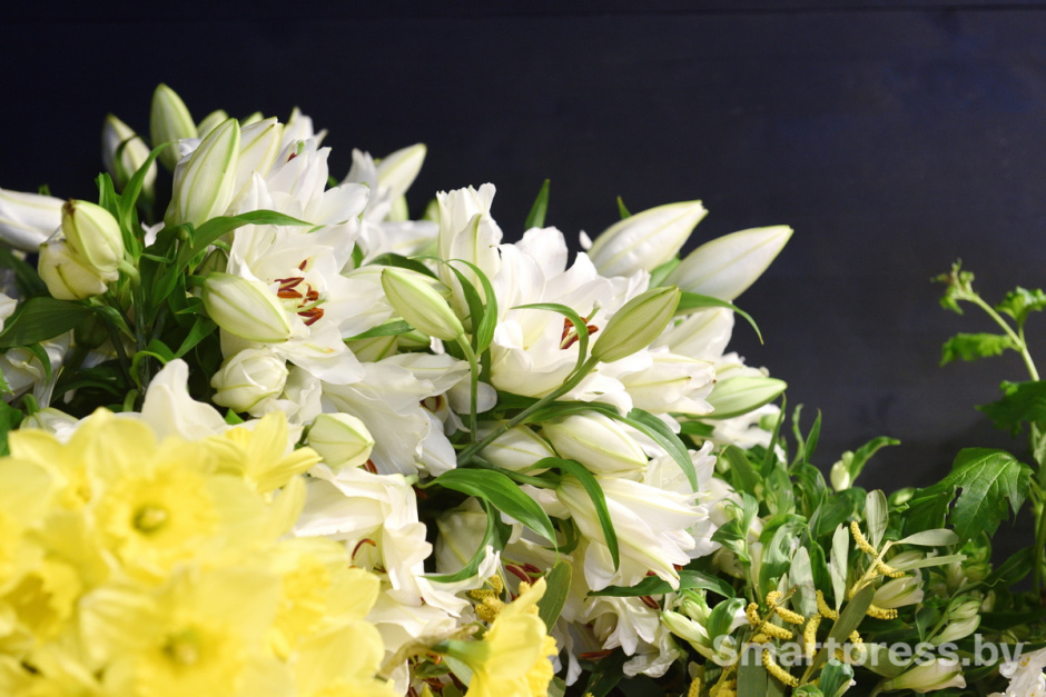 Vetka-Kvetka лилии