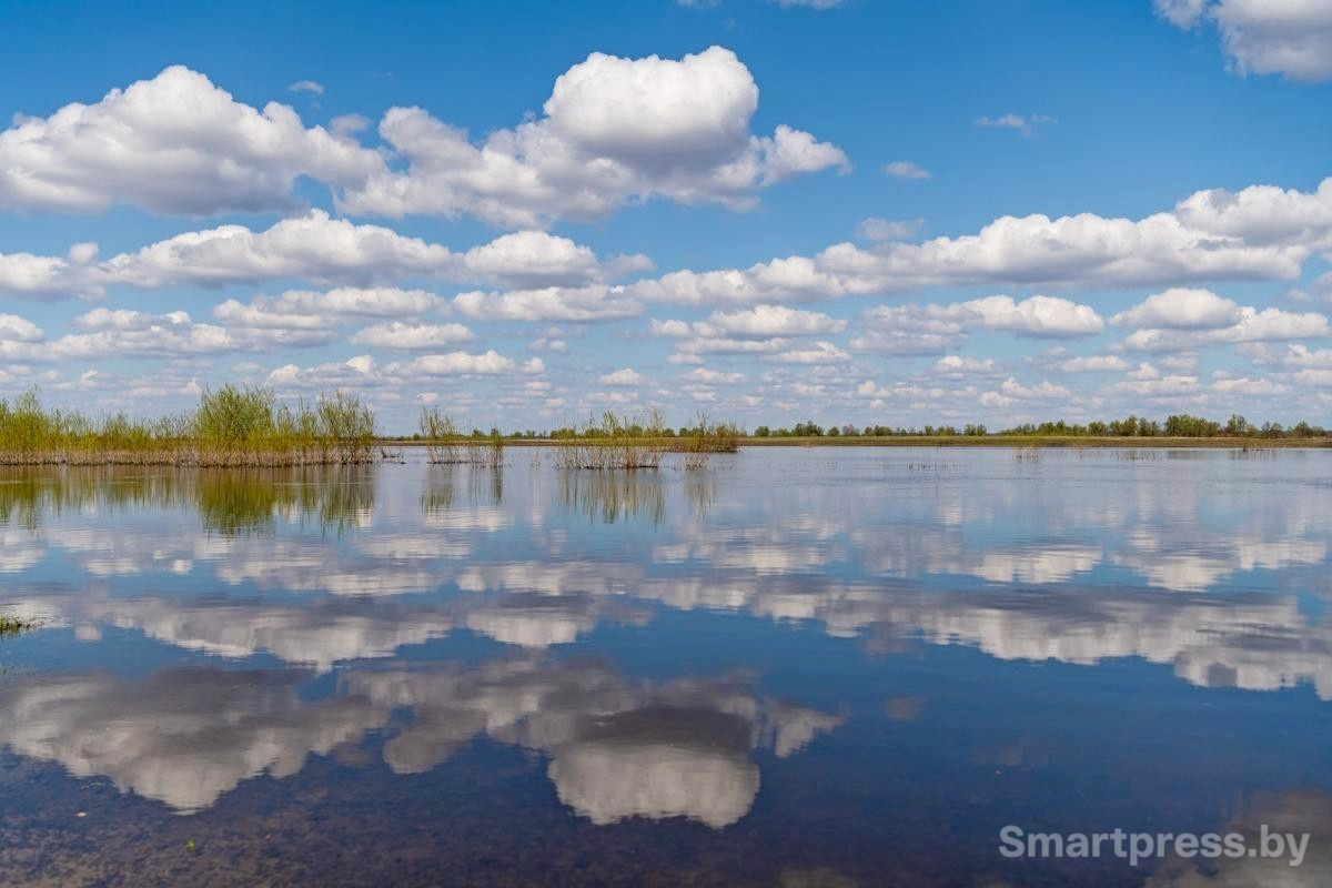 26-Туровский луг.jpg
