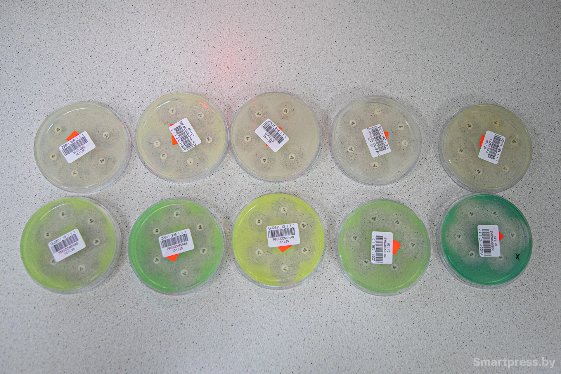 Серия образцов