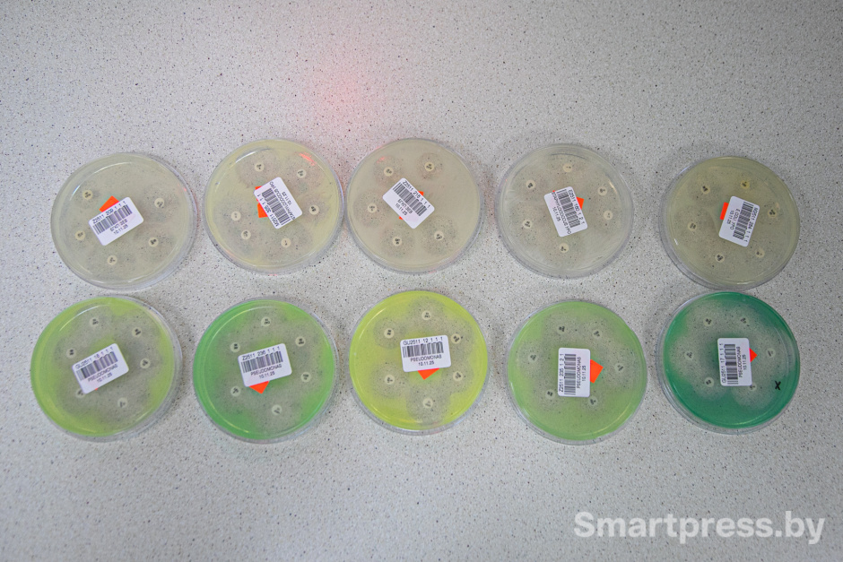 Серия образцов