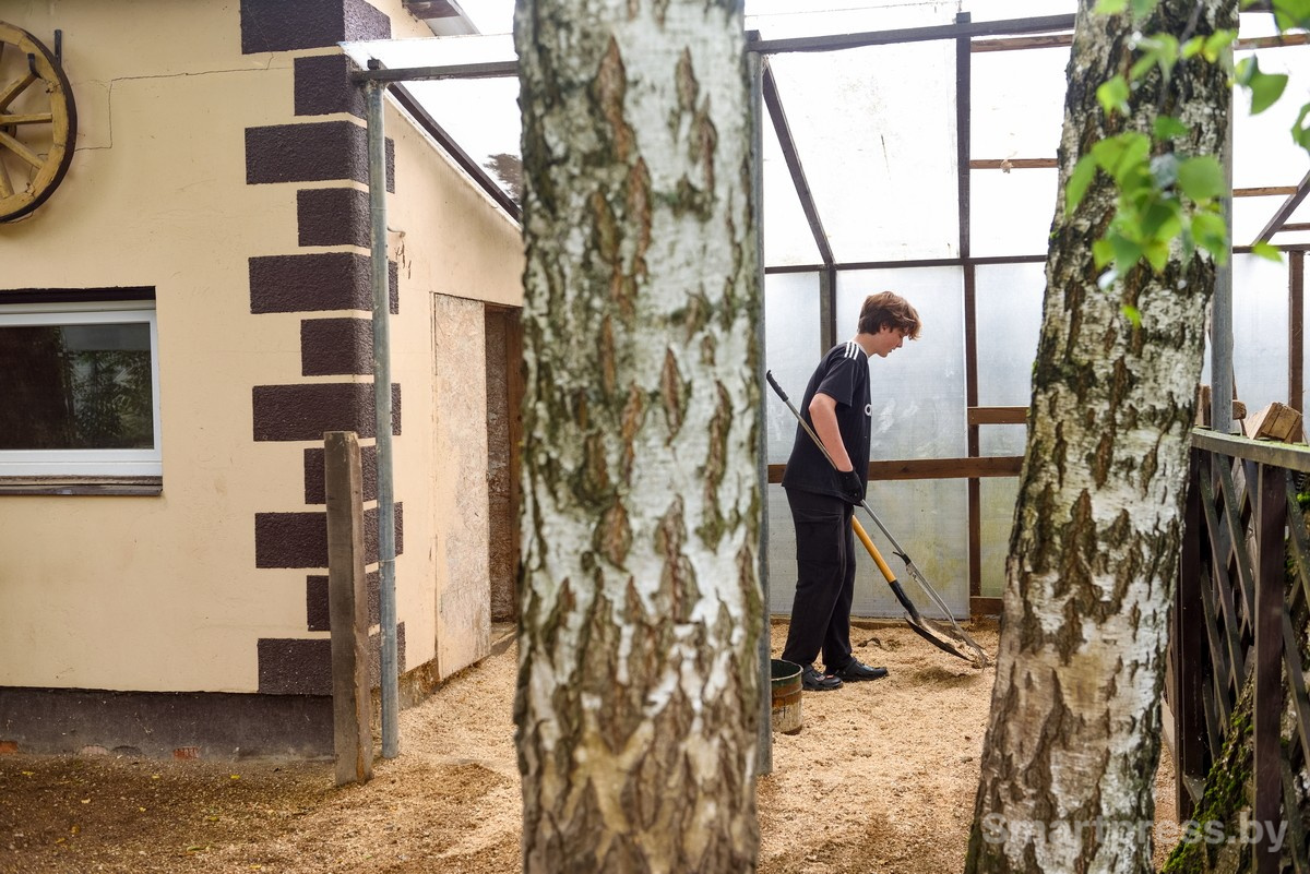 19-Зоосад семьи Марчук в Ходаково.jpg