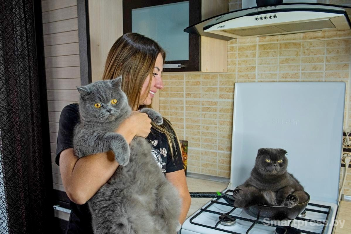 13-Бакс на руках у хозяйки Боня на сковородке.jpg