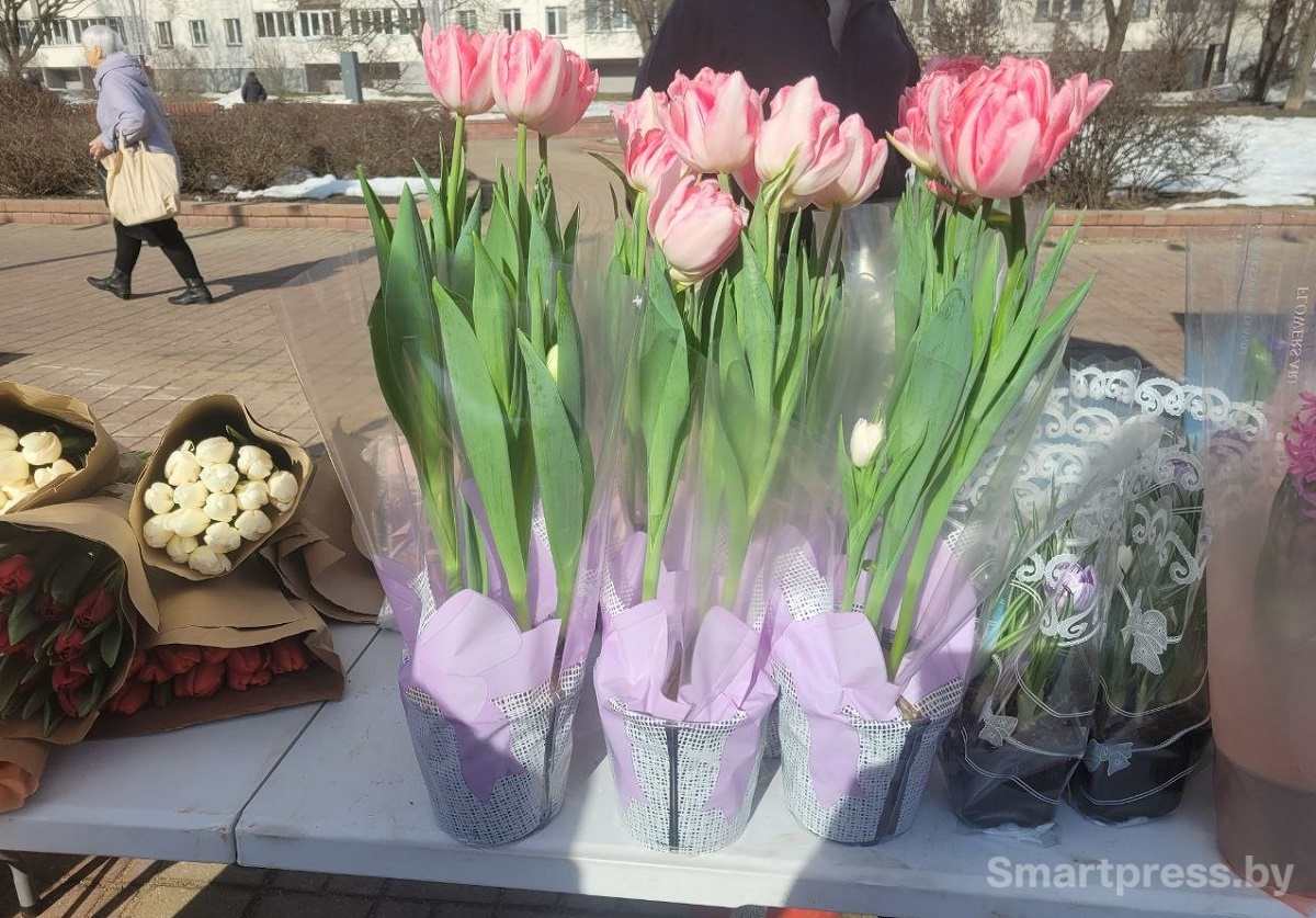 Восток-в горшках