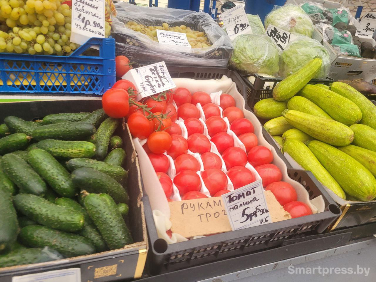 томаты по 6 рэ томаты по 6 рэ