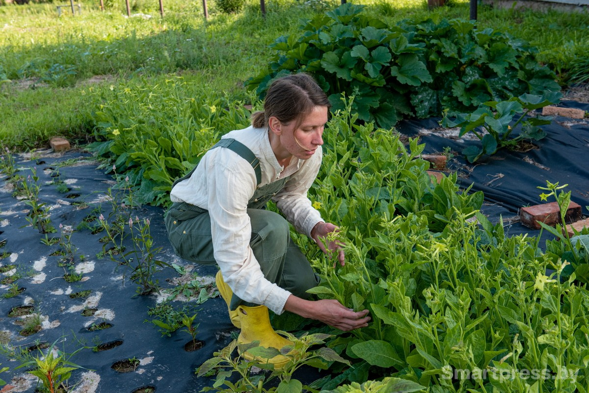 6-Светлана Ващилов в огороде.jpg