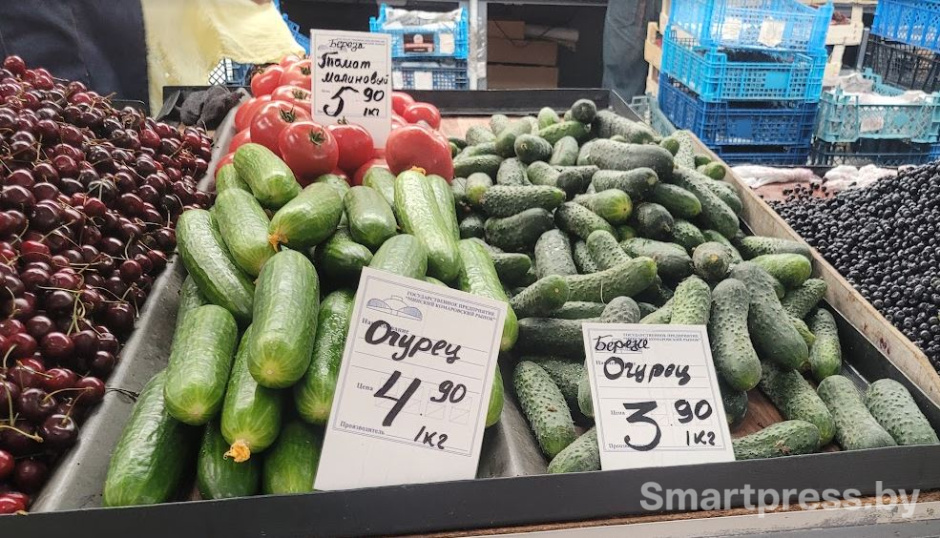 Огурцы на Комаровке