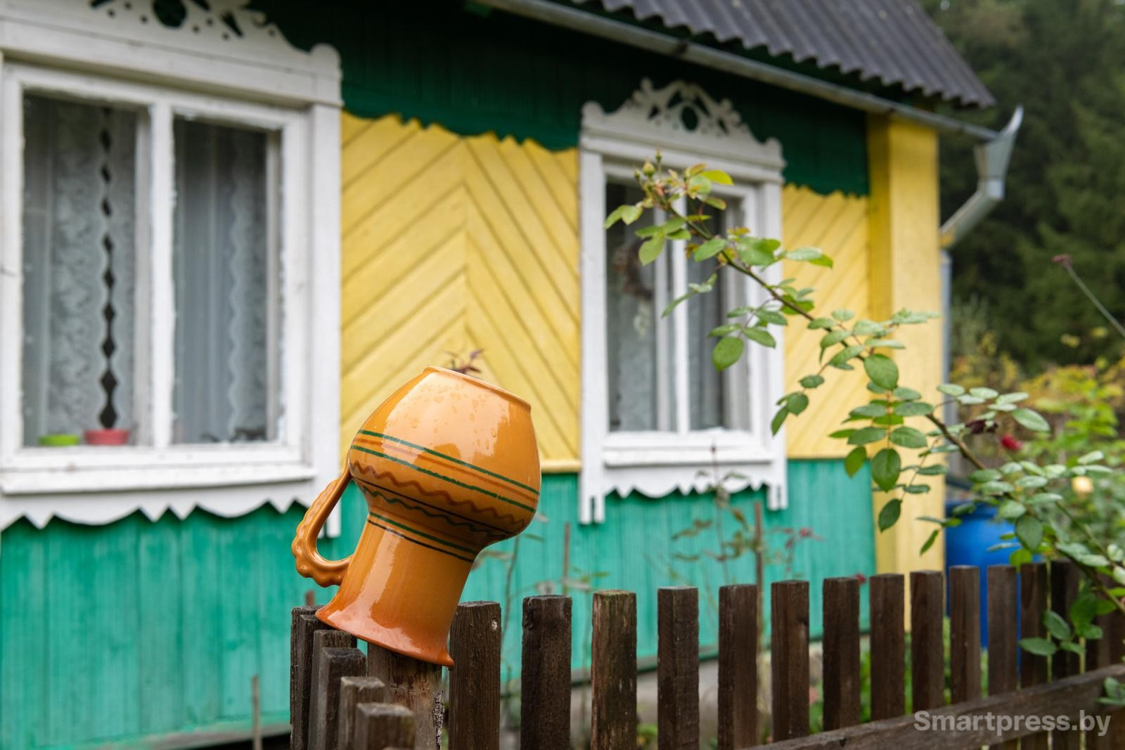 6-Антураж возле деревенского дома.jpg