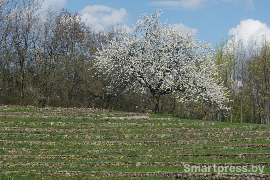 лошицкий парк.jpg