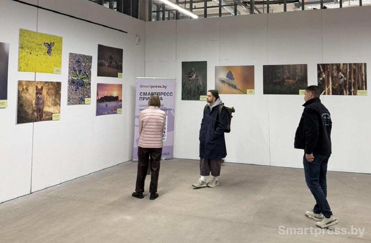 3-Посетители фотовыставки Дикая природа Беларуси 2025.jpg