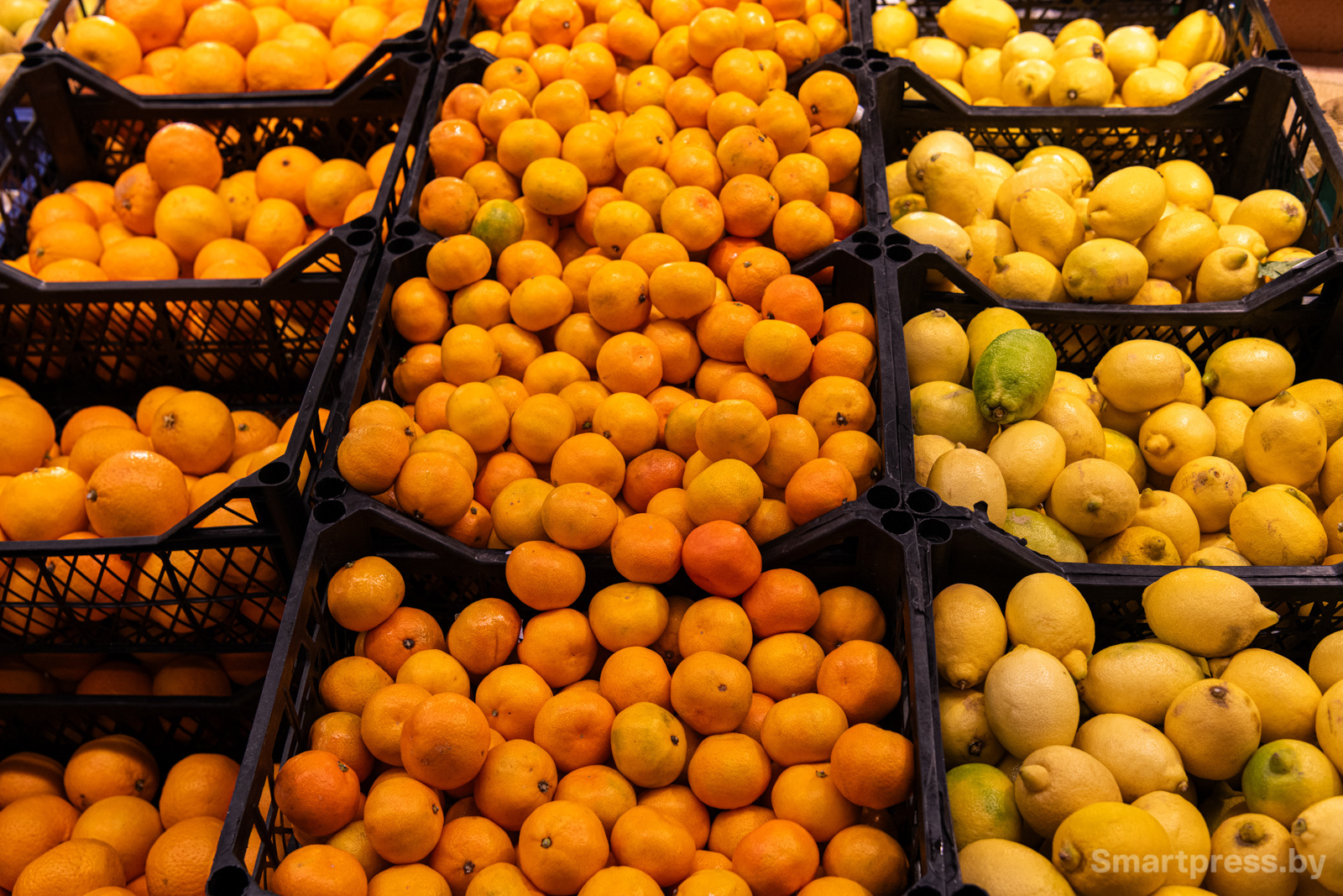 Цитрусовые