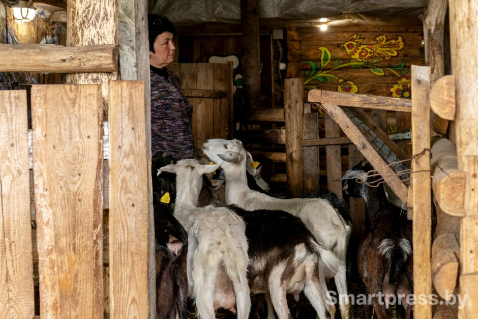 5-Женщина разводит коз в белорусской деревне.jpg