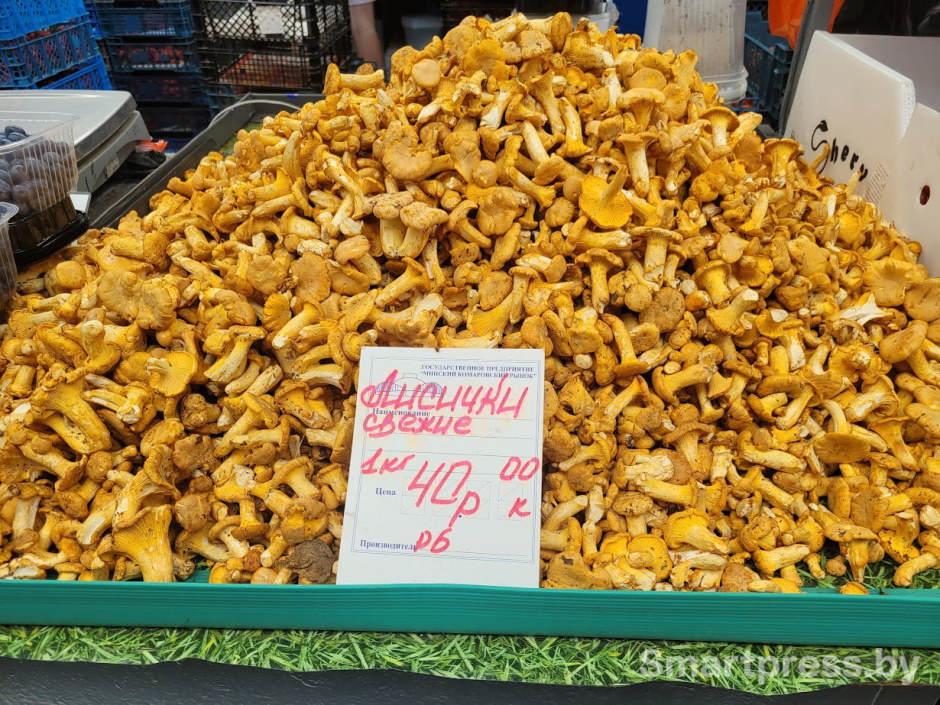 грибы на Комаровке2.jpg