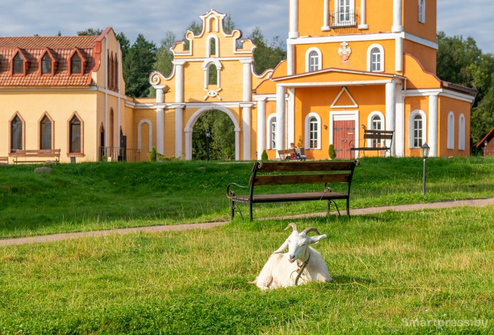 20-Коза в парке истории Сула.jpg