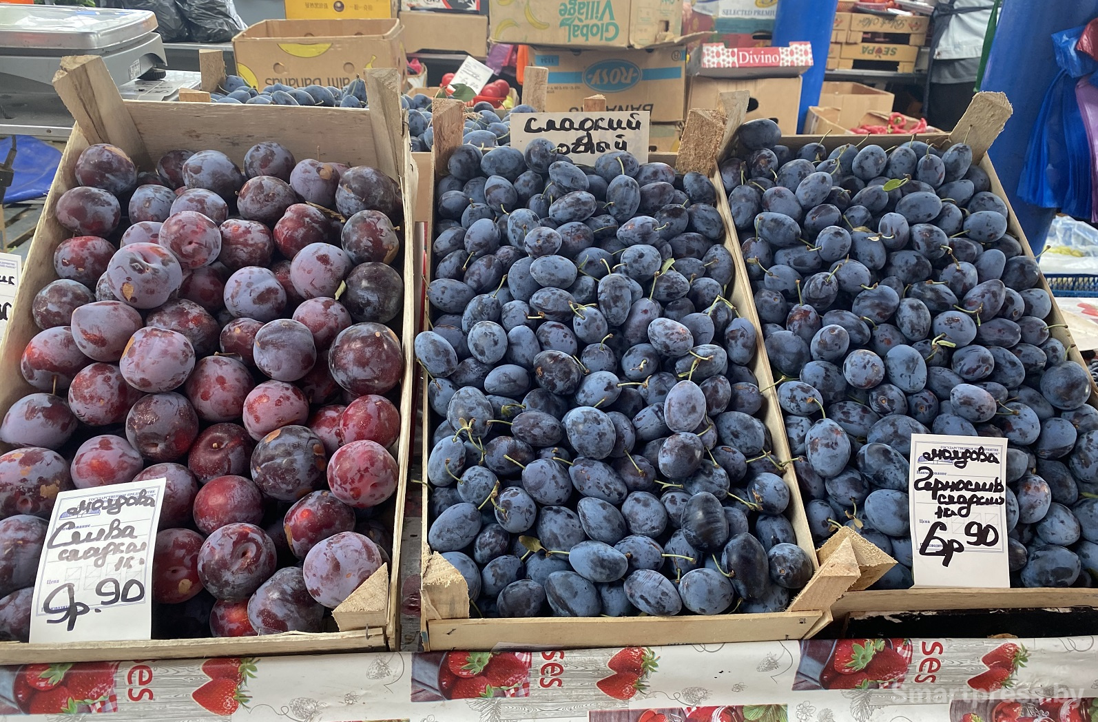 слива молдова по 9.90