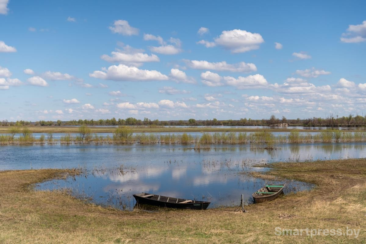 20-Туровский луг.jpg