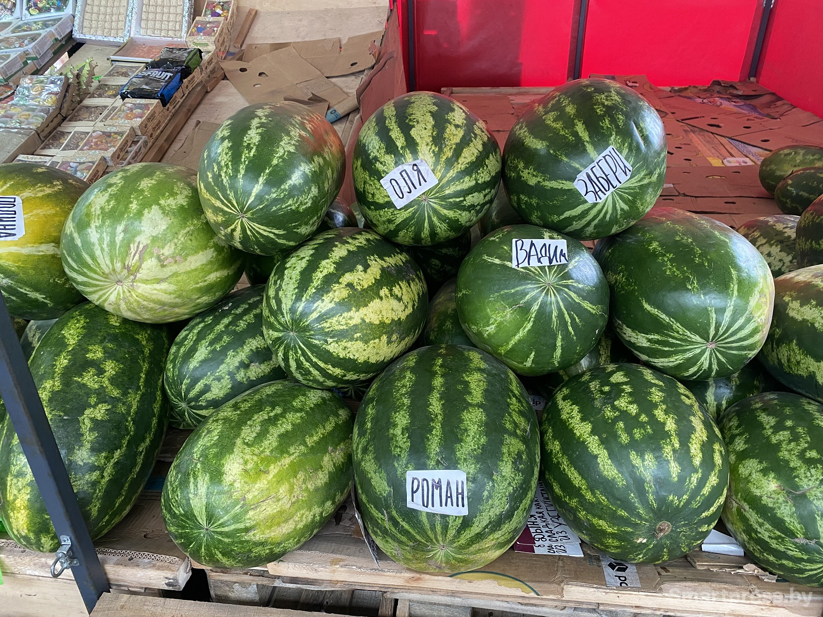 арбузы Оля, Вадим и Роман