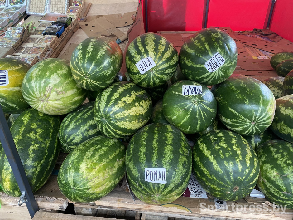 арбузы Оля, Вадим и Роман