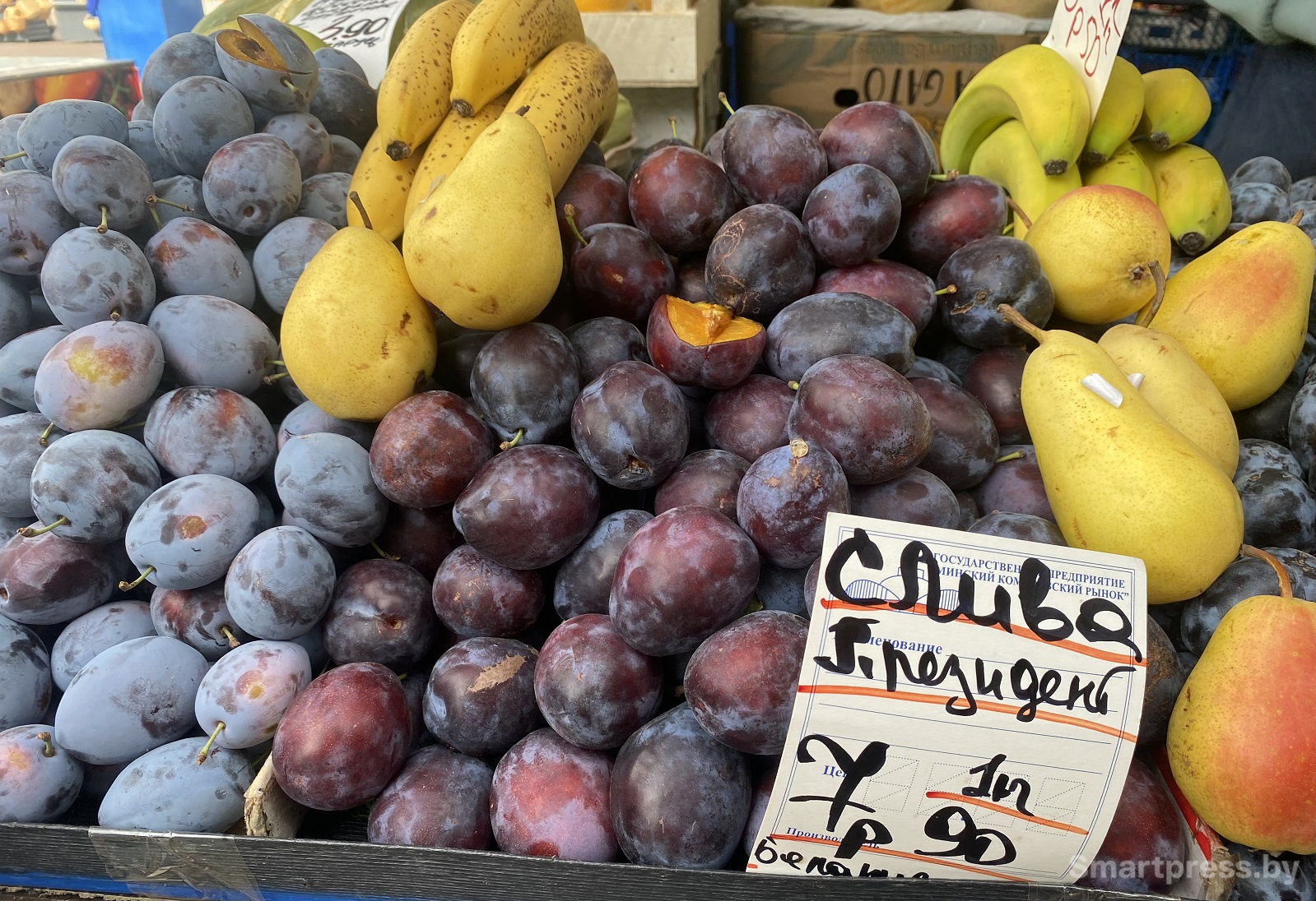 слива президент Беларусь