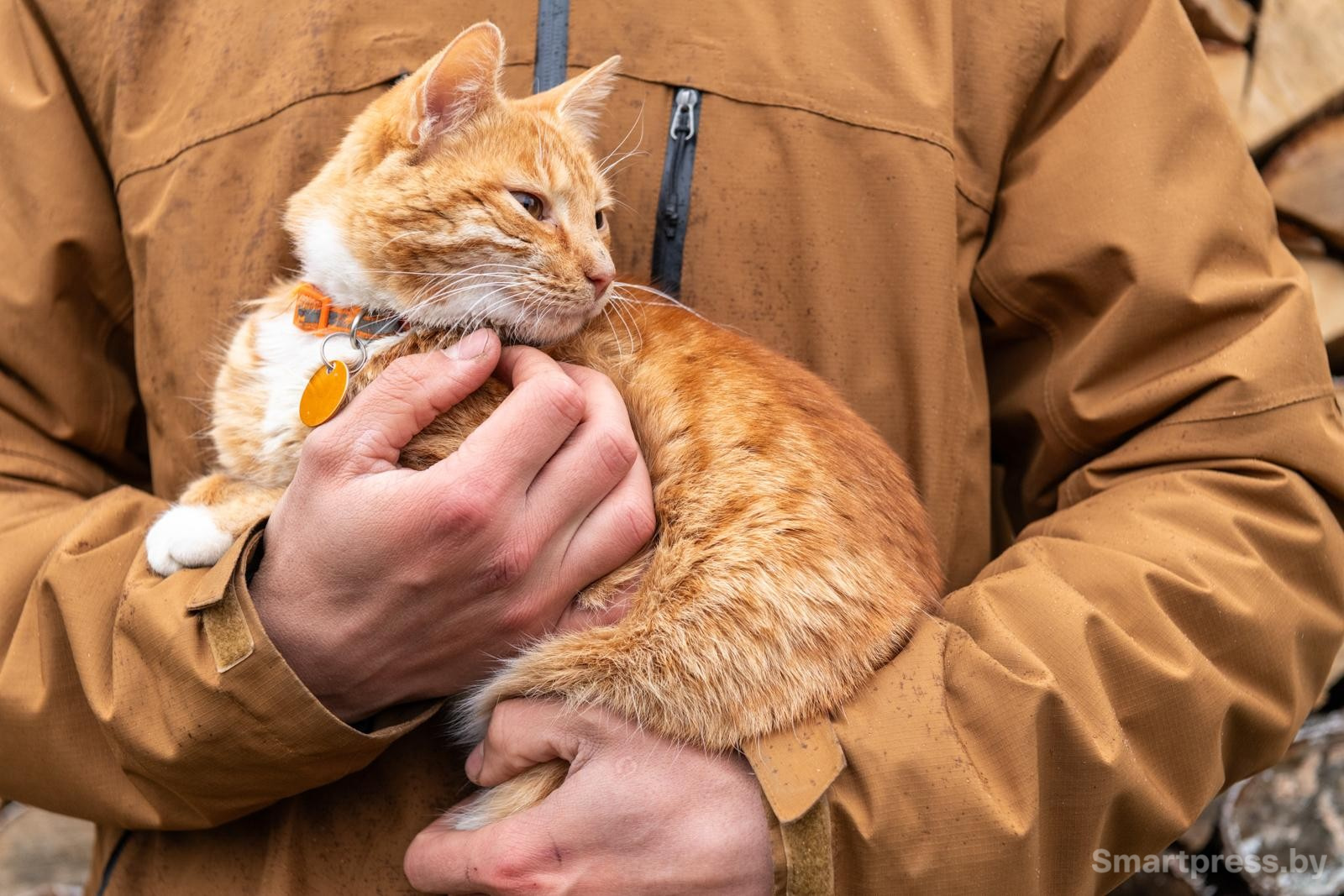 29-Рыжая кошка на руках.jpg
