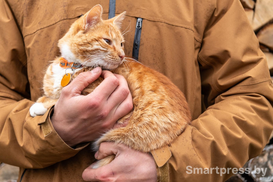 29-Рыжая кошка на руках.jpg